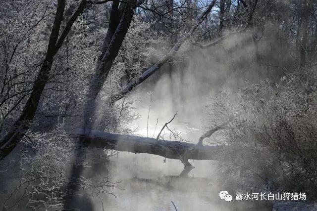 解答你疑惑,男孩对我说我们俩从来都不是谁等谁?蜗牛问答平台来袭!
