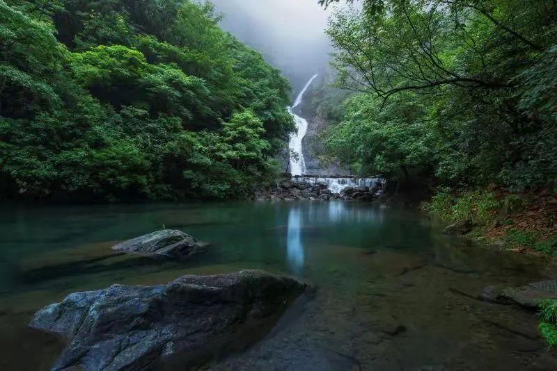 沪江开心词场