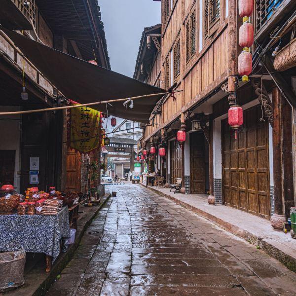 春雨直播app
